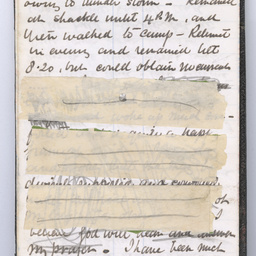 Private diaries of R.C. Patterson