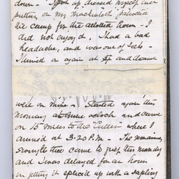 Private diaries of R.C. Patterson