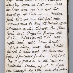 Private diaries of R.C. Patterson