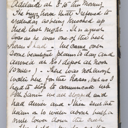 Private diaries of R.C. Patterson