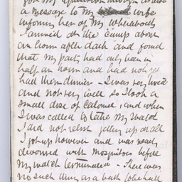 Private diaries of R.C. Patterson