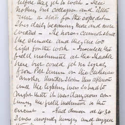 Private diaries of R.C. Patterson