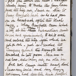 Private diaries of R.C. Patterson