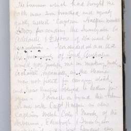 Private diaries of R.C. Patterson