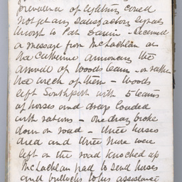 Private diaries of R.C. Patterson